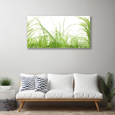 Image sur verre acrylique Herbe nature vert