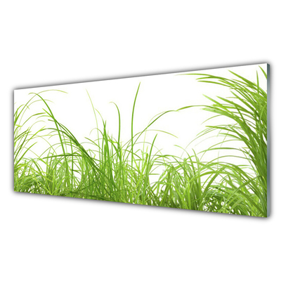 Image sur verre acrylique Herbe nature vert