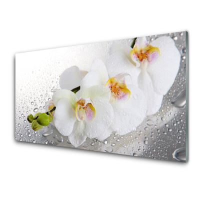 Image sur verre acrylique Fleurs floral blanc