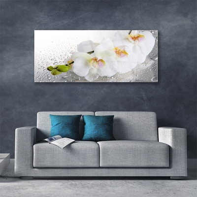 Image sur verre acrylique Fleurs floral blanc