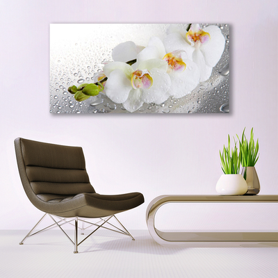 Image sur verre acrylique Fleurs floral blanc