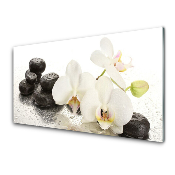 Image sur verre acrylique Fleurs pierres floral blanc noir