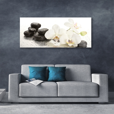 Image sur verre acrylique Fleurs pierres floral blanc noir