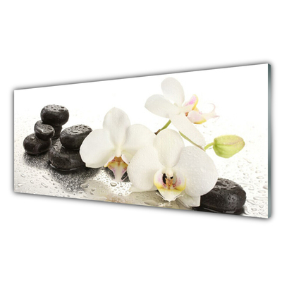 Image sur verre acrylique Fleurs pierres floral blanc noir