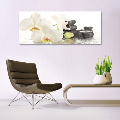 Image sur verre acrylique Pierres fleurs floral blanc noir