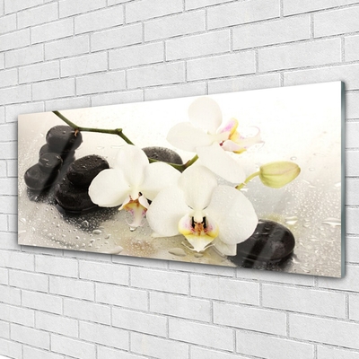 Image sur verre acrylique Fleurs pierres art blanc noir