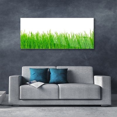 Image sur verre acrylique Herbe nature vert