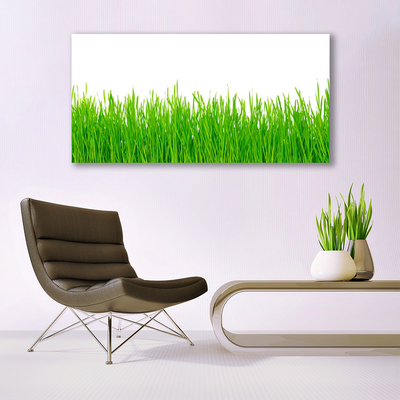 Image sur verre acrylique Herbe nature vert