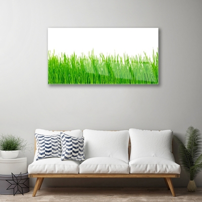 Image sur verre acrylique Herbe nature vert