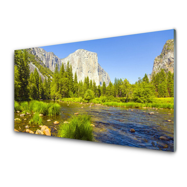 Image sur verre acrylique Lac montagnes forêt nature bleu vert gris