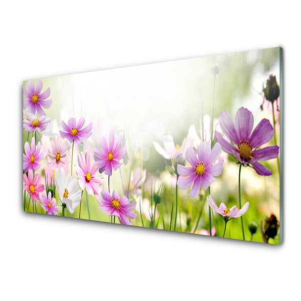 Image sur verre acrylique Fleurs floral rose