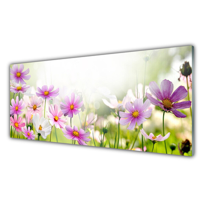 Image sur verre acrylique Fleurs floral rose