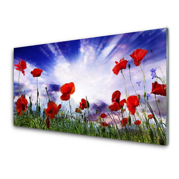 Image sur verre acrylique Coquelicots nature rouge vert violet blanc