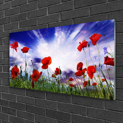 Image sur verre acrylique Coquelicots nature rouge vert violet blanc