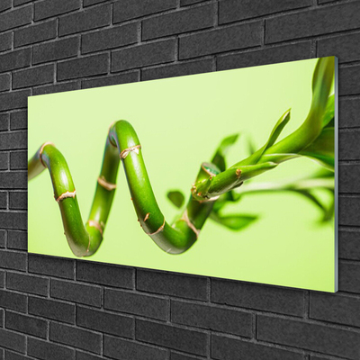 Image sur verre acrylique Bambou floral vert