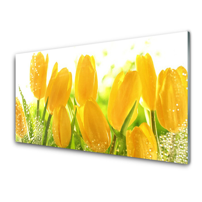 Image sur verre acrylique Tulipes floral jaune vert