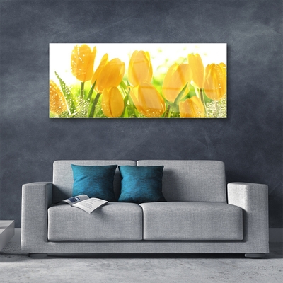 Image sur verre acrylique Tulipes floral jaune vert