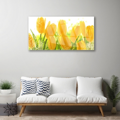 Image sur verre acrylique Tulipes floral jaune vert