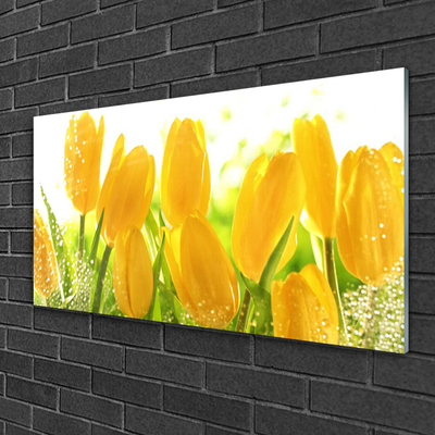 Image sur verre acrylique Tulipes floral jaune vert