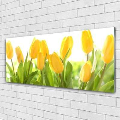 Image sur verre acrylique Tulipes floral jaune vert