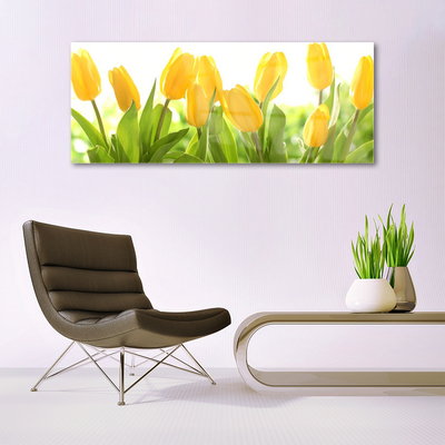 Image sur verre acrylique Tulipes floral jaune vert