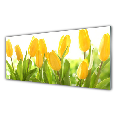 Image sur verre acrylique Tulipes floral jaune vert