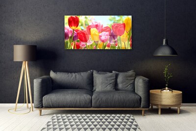 Image sur verre acrylique Tulipes floral rouge jaune