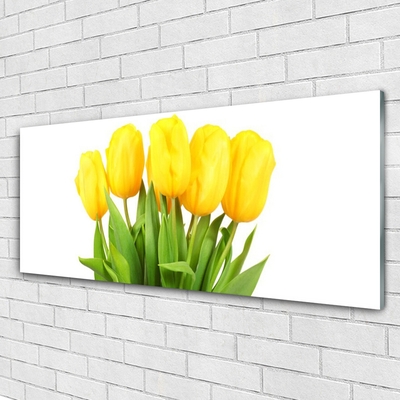 Image sur verre acrylique Tulipes floral jaune
