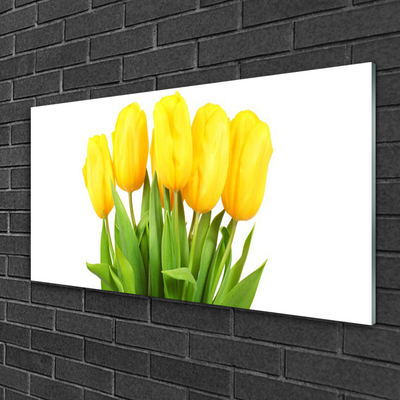 Image sur verre acrylique Tulipes floral jaune