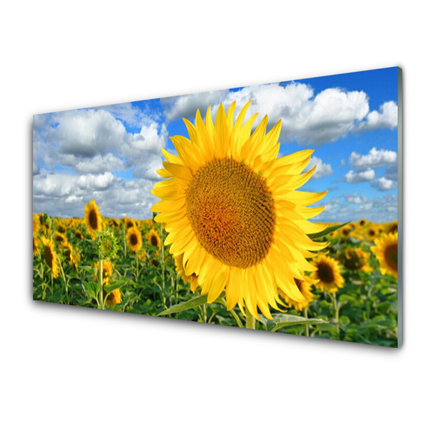 Image sur verre acrylique Tournesol floral jaune brun