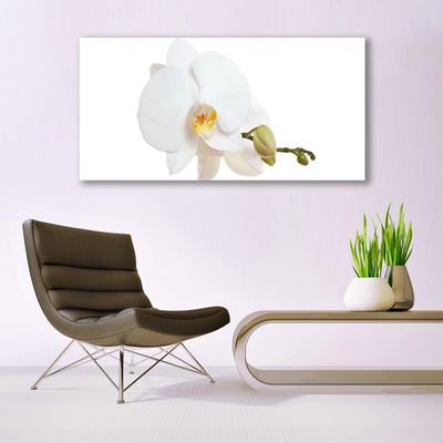 Image sur verre acrylique Fleur floral blanc
