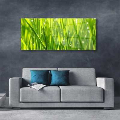 Image sur verre acrylique Herbe nature vert