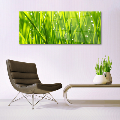 Image sur verre acrylique Herbe nature vert