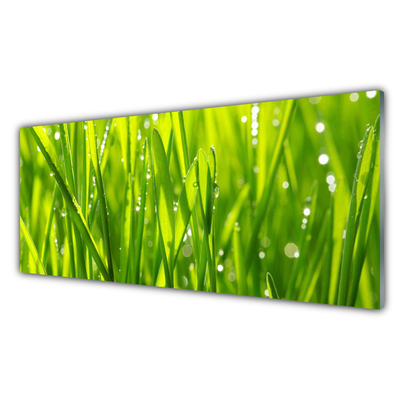 Image sur verre acrylique Herbe nature vert