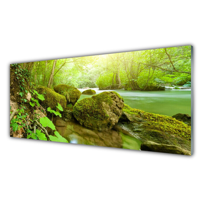 Image sur verre acrylique Pierres lac nature vert