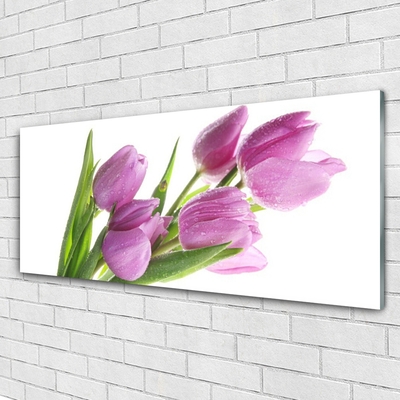 Image sur verre acrylique Tulipes floral rose vert