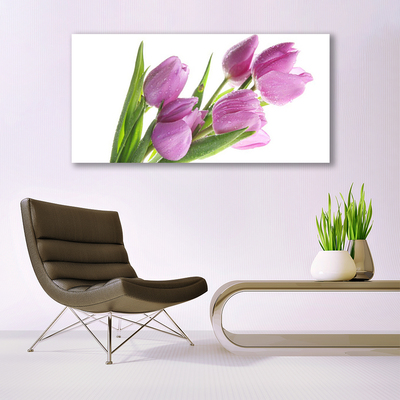 Image sur verre acrylique Tulipes floral rose vert