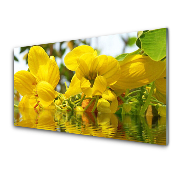 Image sur verre acrylique Fleurs floral jaune