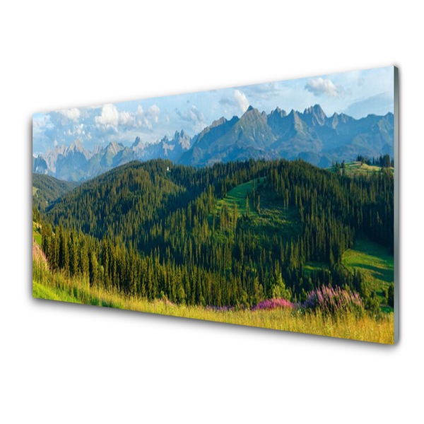 Image sur verre acrylique Forêt montagne nature vert