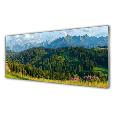 Image sur verre acrylique Forêt montagne nature vert