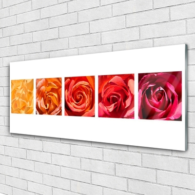 Image sur verre acrylique Roses floral jaune orange rouge