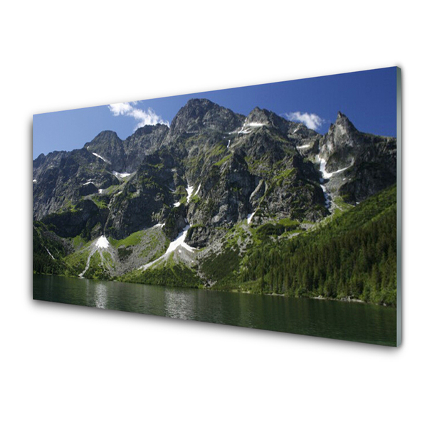 Image sur verre acrylique Montagnes lac forêt paysage vert gris