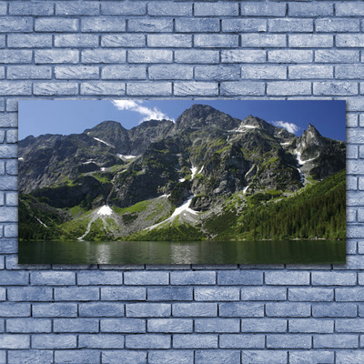 Image sur verre acrylique Montagnes lac forêt paysage vert gris