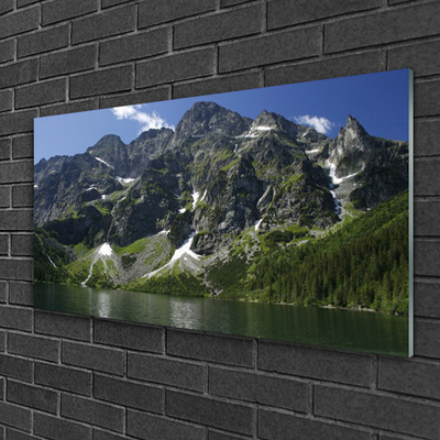 Image sur verre acrylique Montagnes lac forêt paysage vert gris