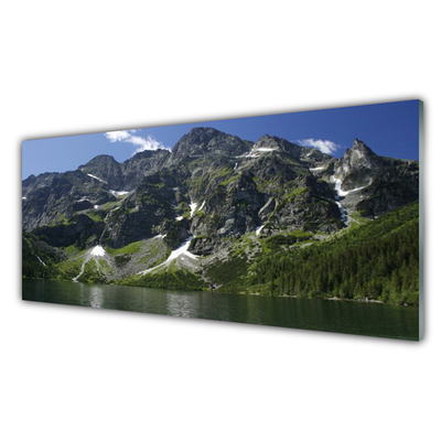 Image sur verre acrylique Montagnes lac forêt paysage vert gris