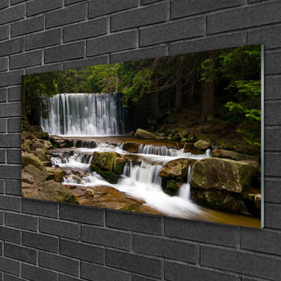 Image sur verre acrylique Forêt chute d'eau nature blanc gris brun vert