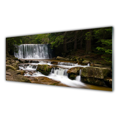 Image sur verre acrylique Forêt chute d'eau nature blanc gris brun vert