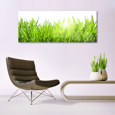 Image sur verre acrylique Herbe nature vert