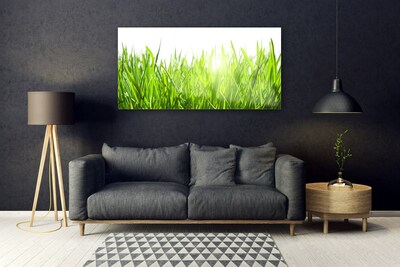 Image sur verre acrylique Herbe nature vert