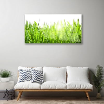 Image sur verre acrylique Herbe nature vert